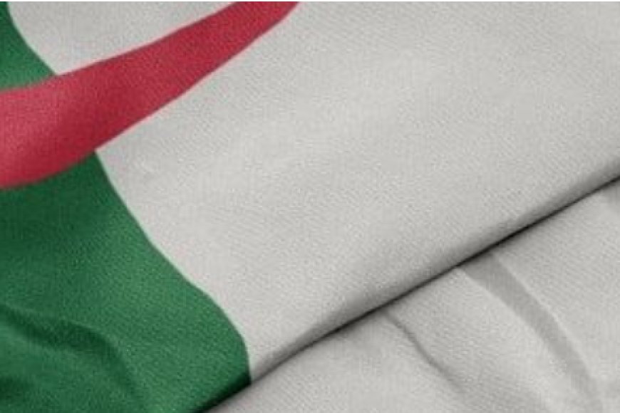 البرلمان الفرنسي يسحب مشروع قرار ينتقد اتفاق الهجرة الفرنسي-الجزائري لعام 1968 وسط قضية بوعلام صنصال