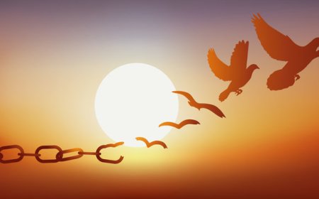 Peut-on tout légaliser au nom de la liberté ?